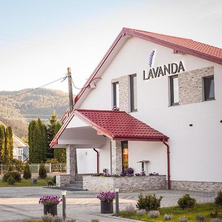 Pensiunea Lavanda, Piatra-Neamt Piatra Neamţ Eksteriør billede