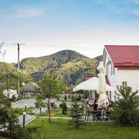 Pensiunea Lavanda, Piatra-Neamt Piatra Neamţ Eksteriør billede