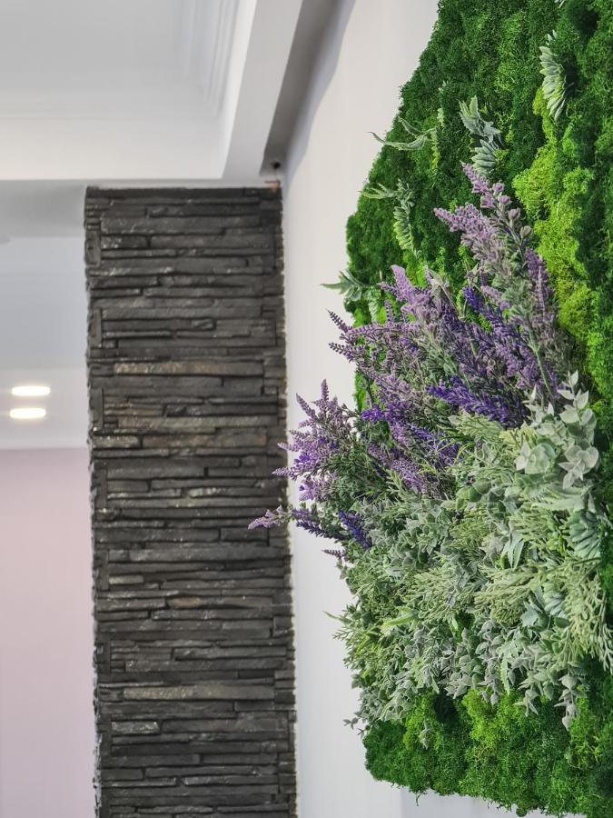 Pensiunea Lavanda, Piatra-Neamt Piatra Neamţ Eksteriør billede