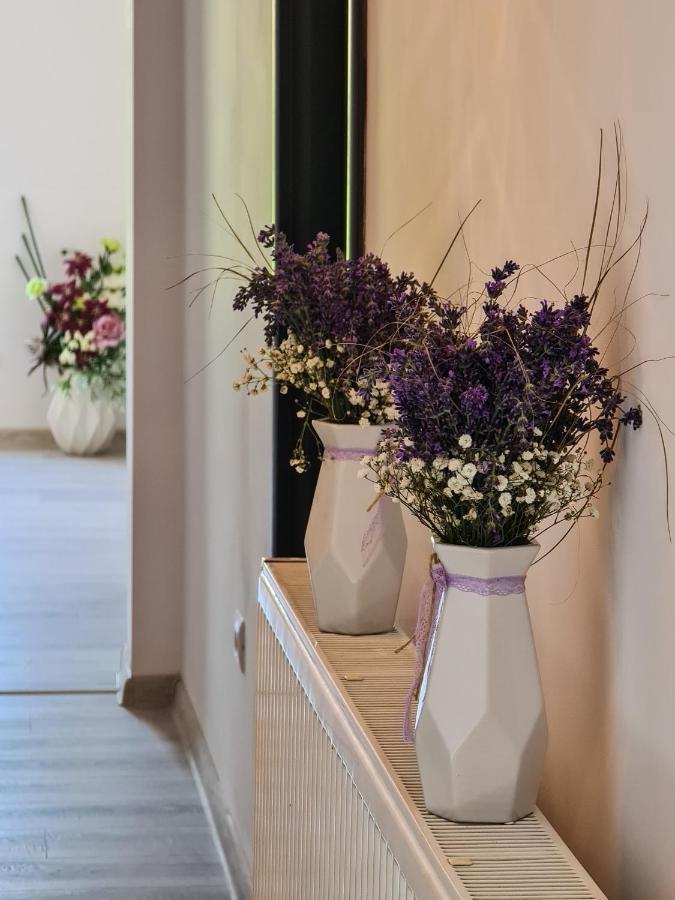 Pensiunea Lavanda, Piatra-Neamt Piatra Neamţ Eksteriør billede