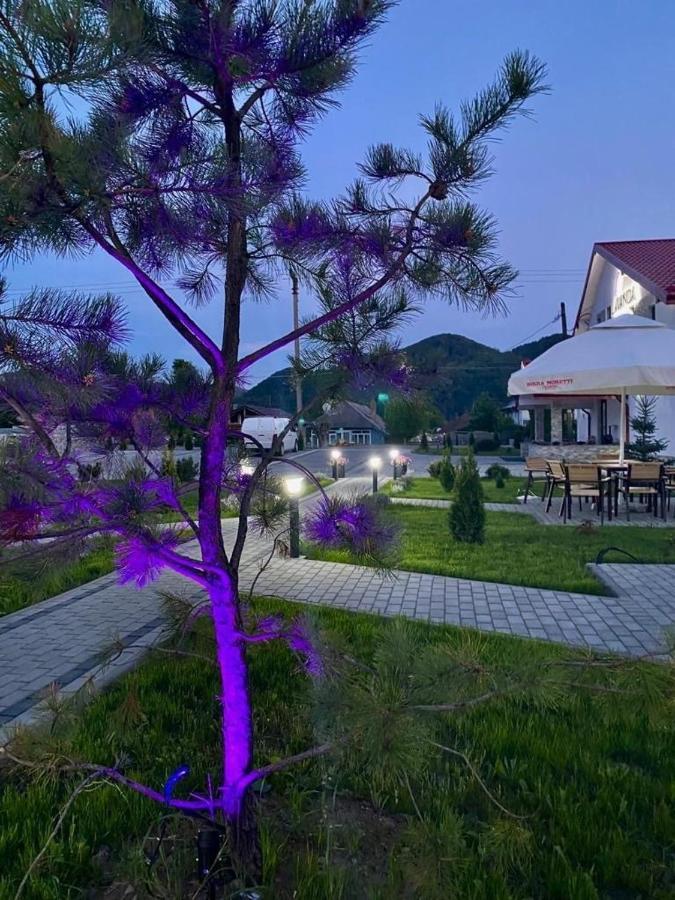 Pensiunea Lavanda, Piatra-Neamt Piatra Neamţ Eksteriør billede